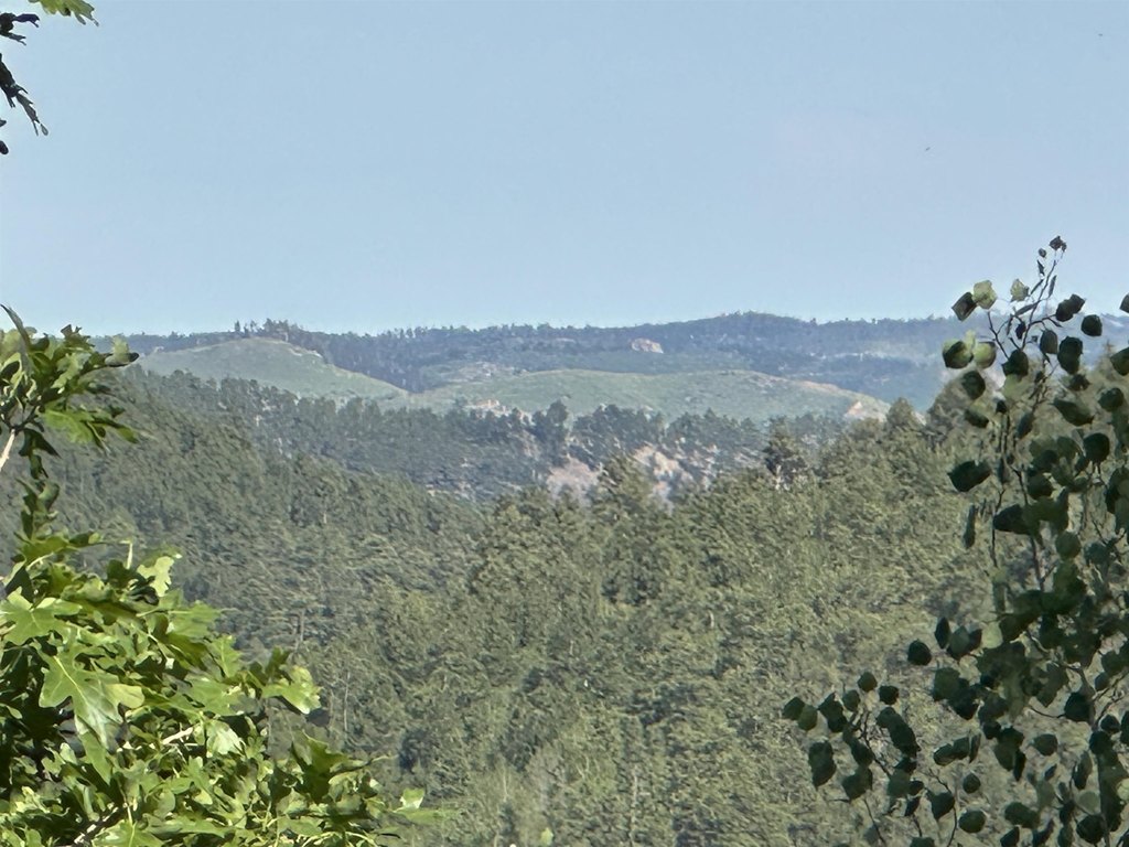 Picture 8
