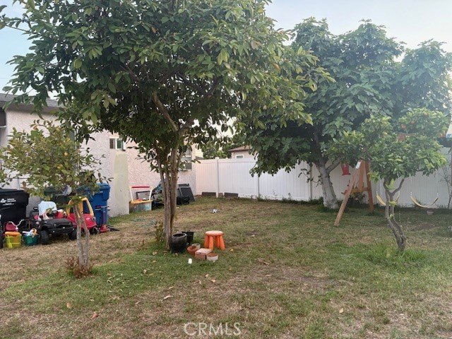 Picture 25