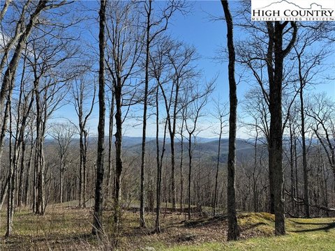 LAND - Todd, NC