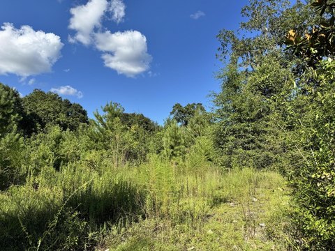 Land, Florala, AL