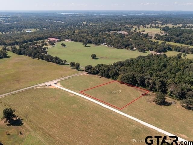 Picture 5