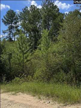 LOTS AND ACREAGE, Georgetown, SC