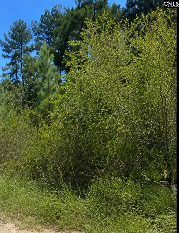 Picture 4