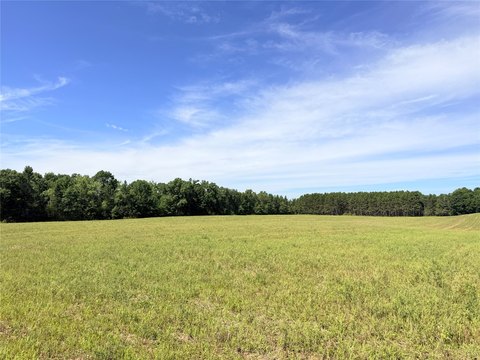 Land, Bruce, WI