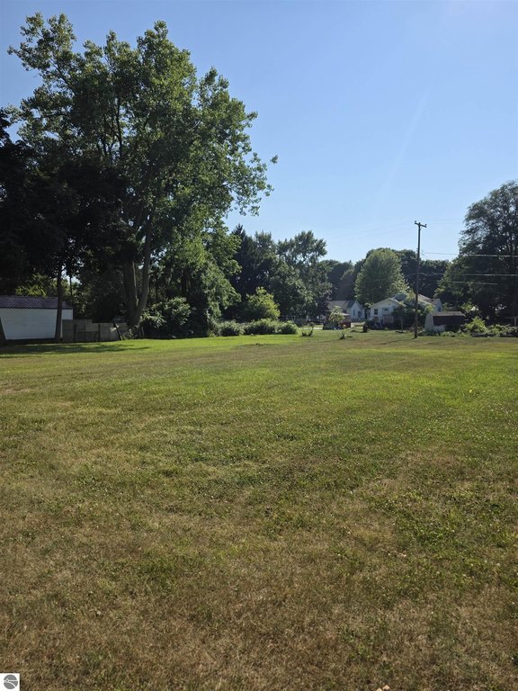 Picture 6