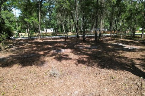LAND - SUMMERFIELD, FL