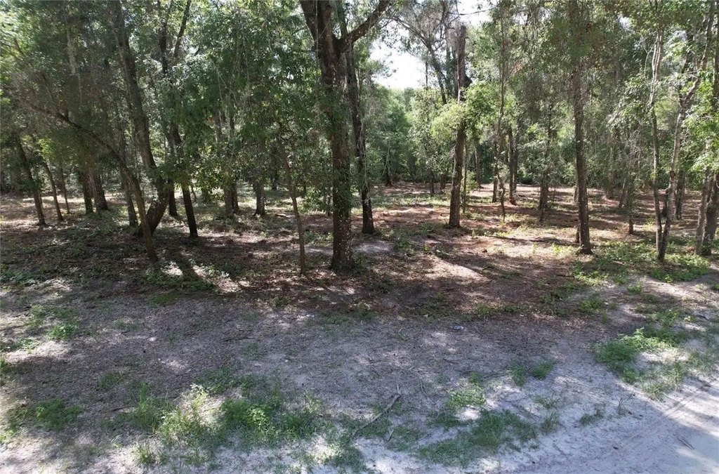 Picture 5
