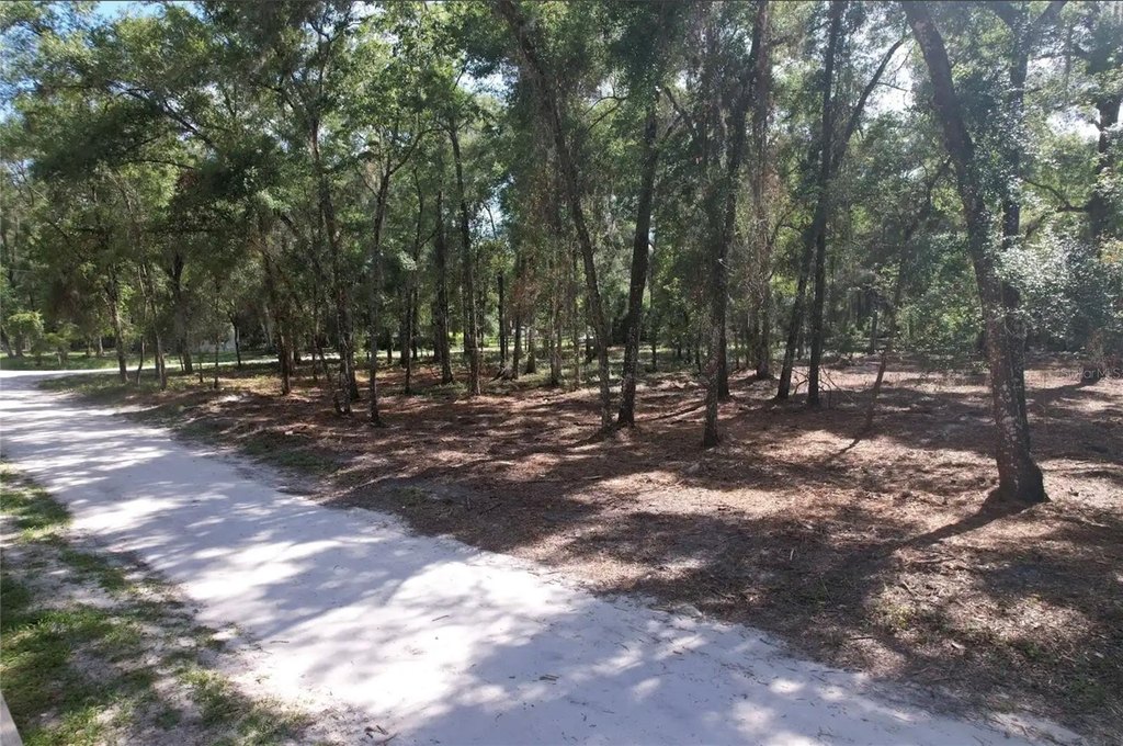 Picture 3