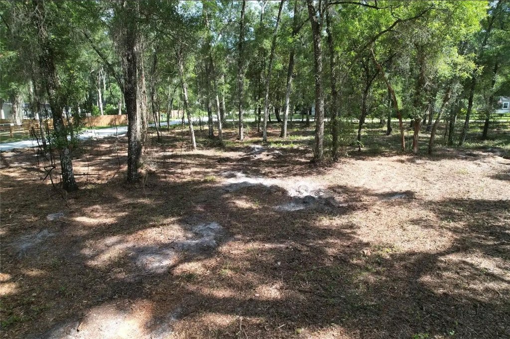 Picture 5