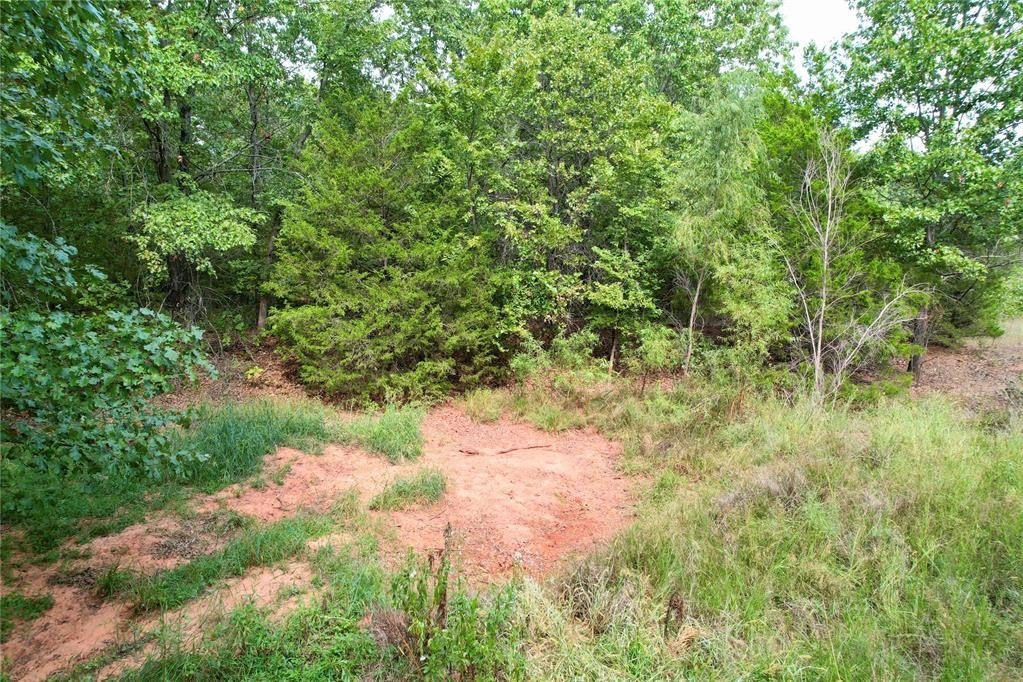 Picture 25