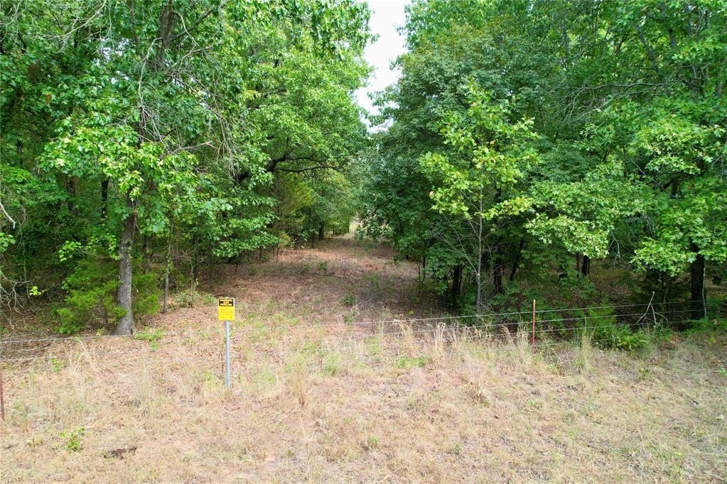 Picture 21