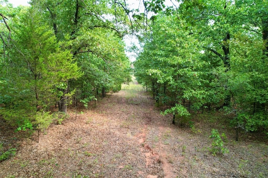 Picture 23