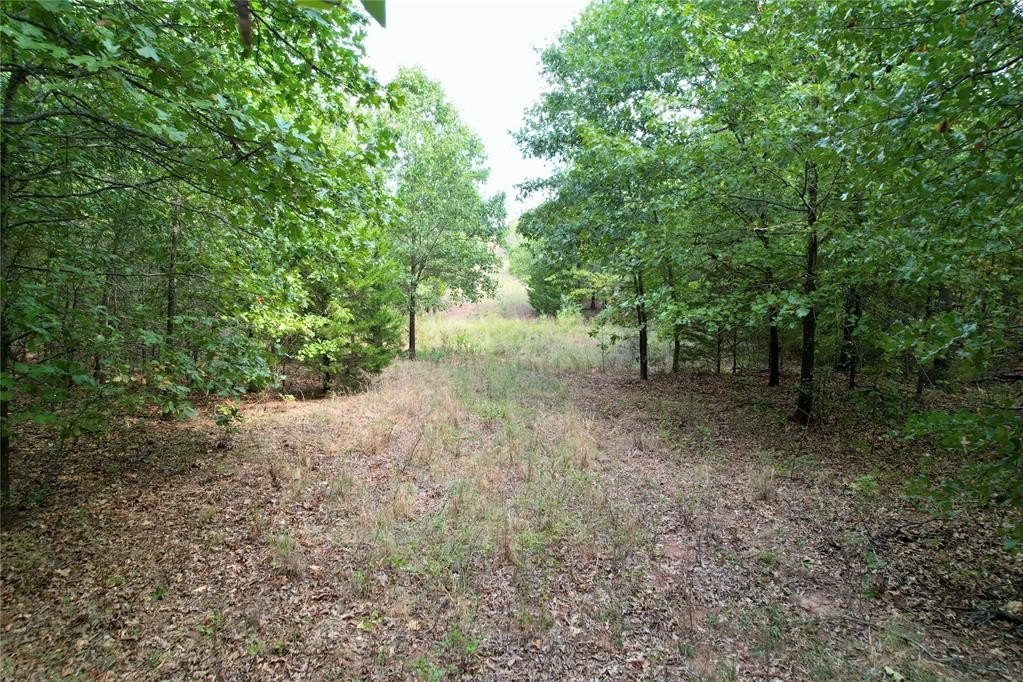 Picture 2