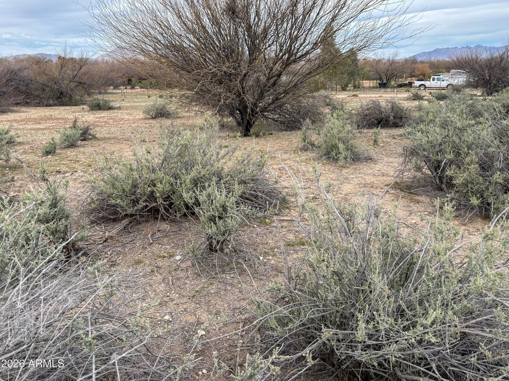 Picture 29