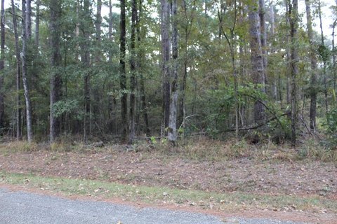 LAND - Hemphill, TX