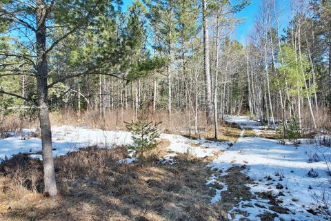 Land O' Lakes Acreage