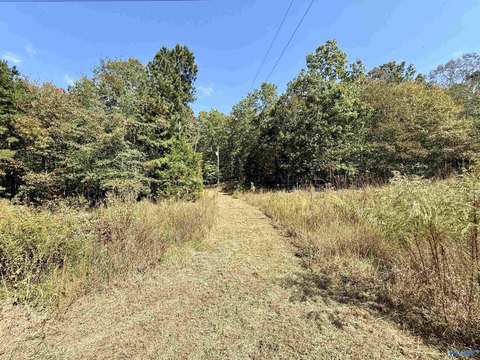 Wooded Acreage Near Chesnut Bay