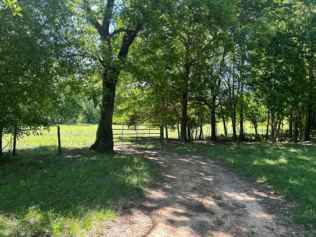 Picture 49