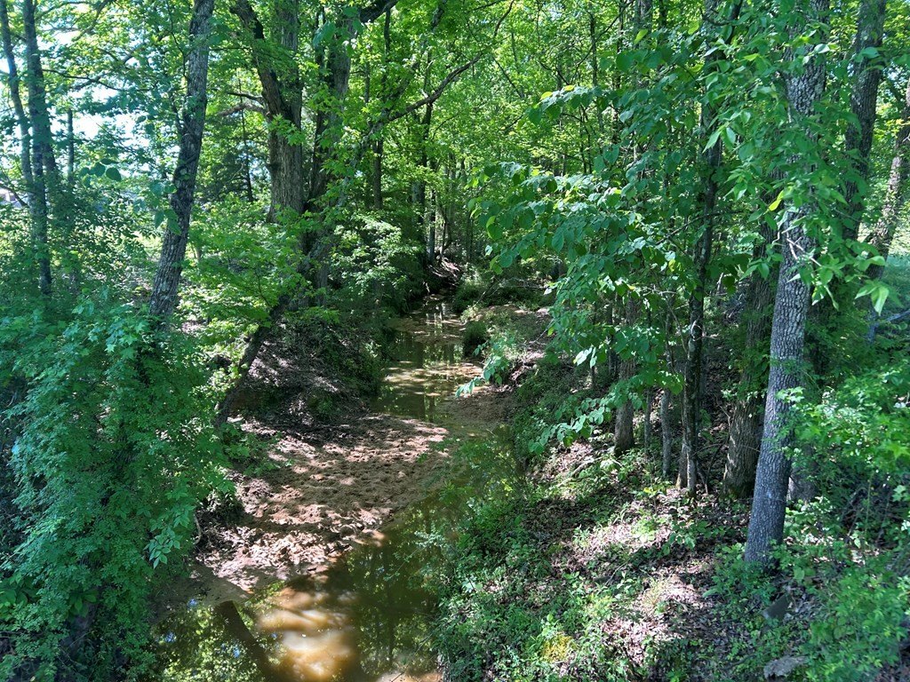 Picture 36