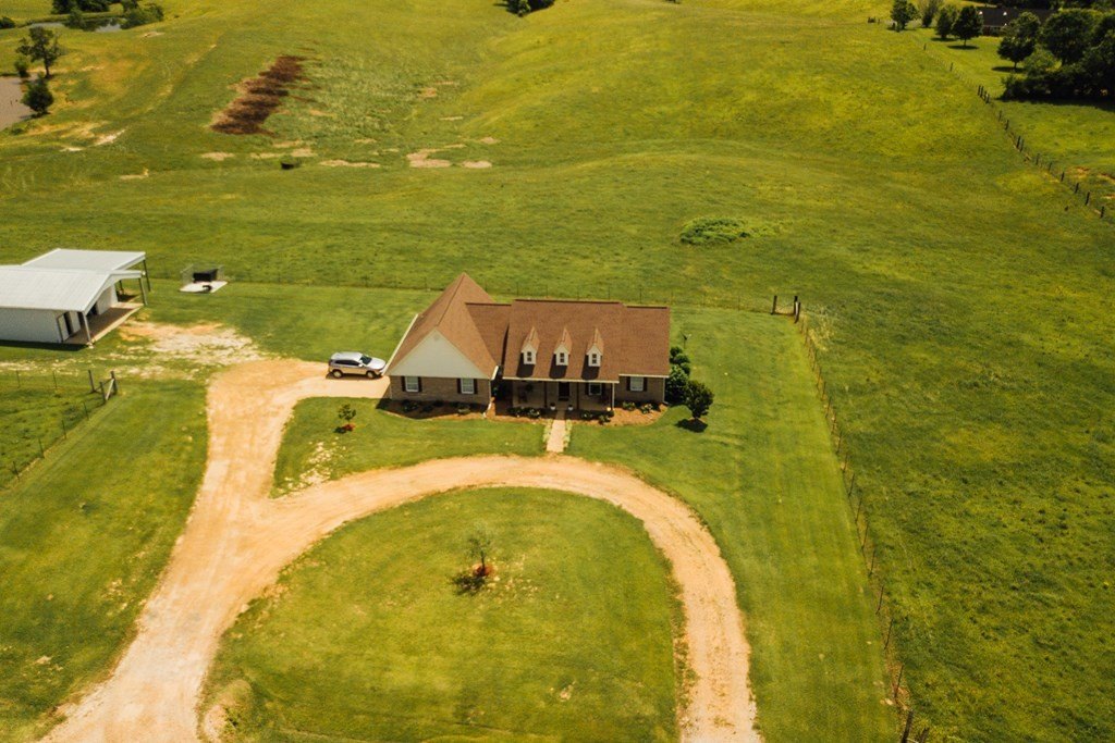 Picture 5