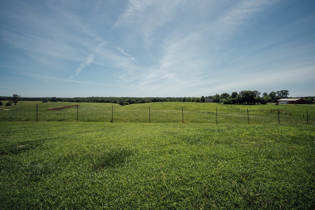 Picture 24