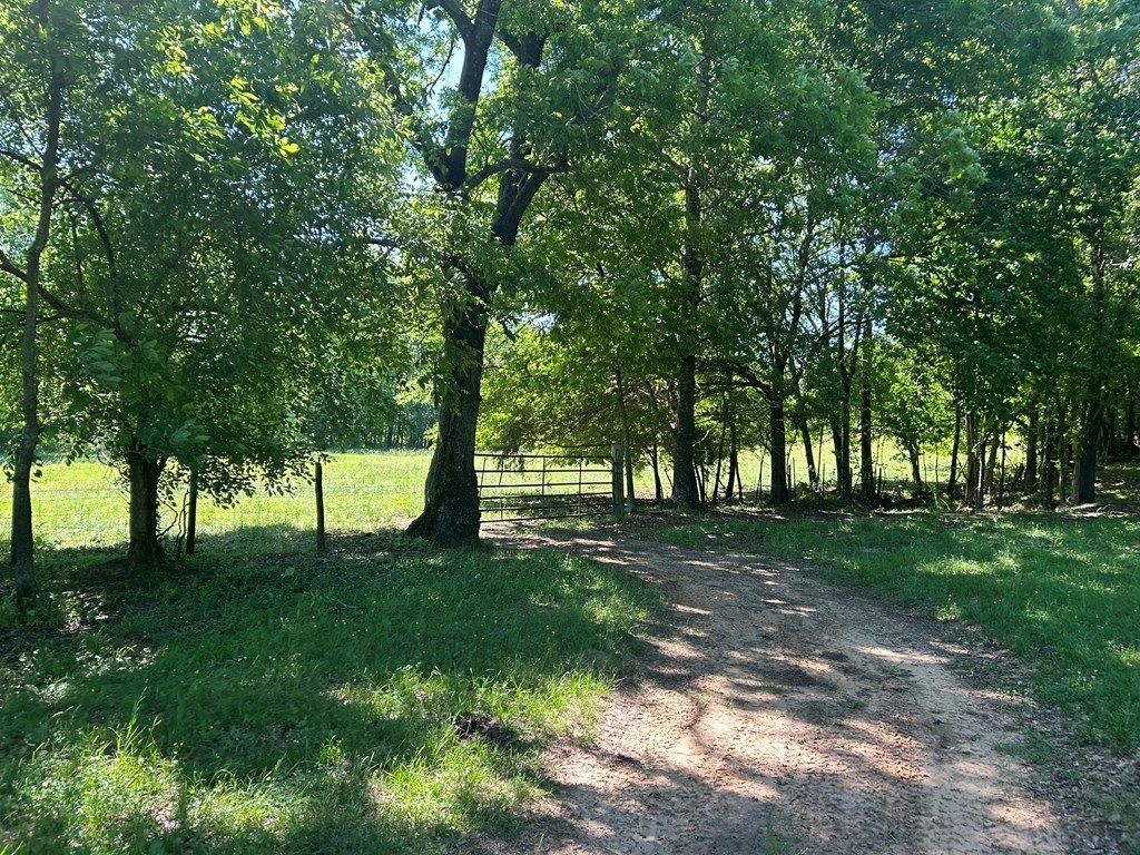 Picture 33