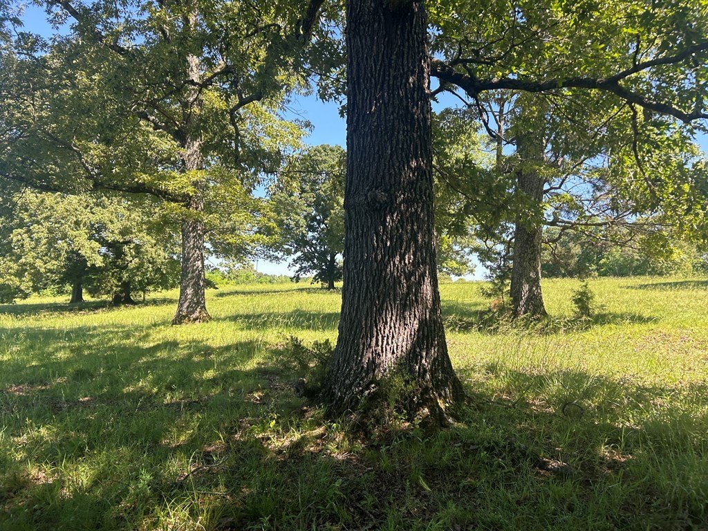 Picture 47