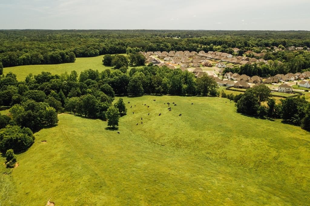 86 Acres Development Opportunity