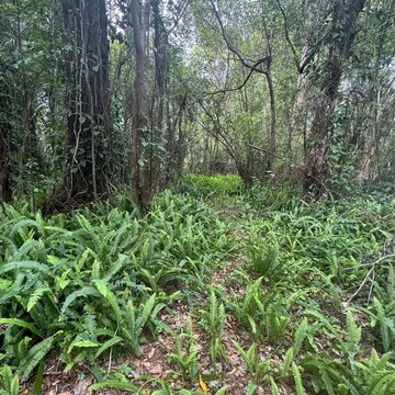 Land, SANFORD, FL