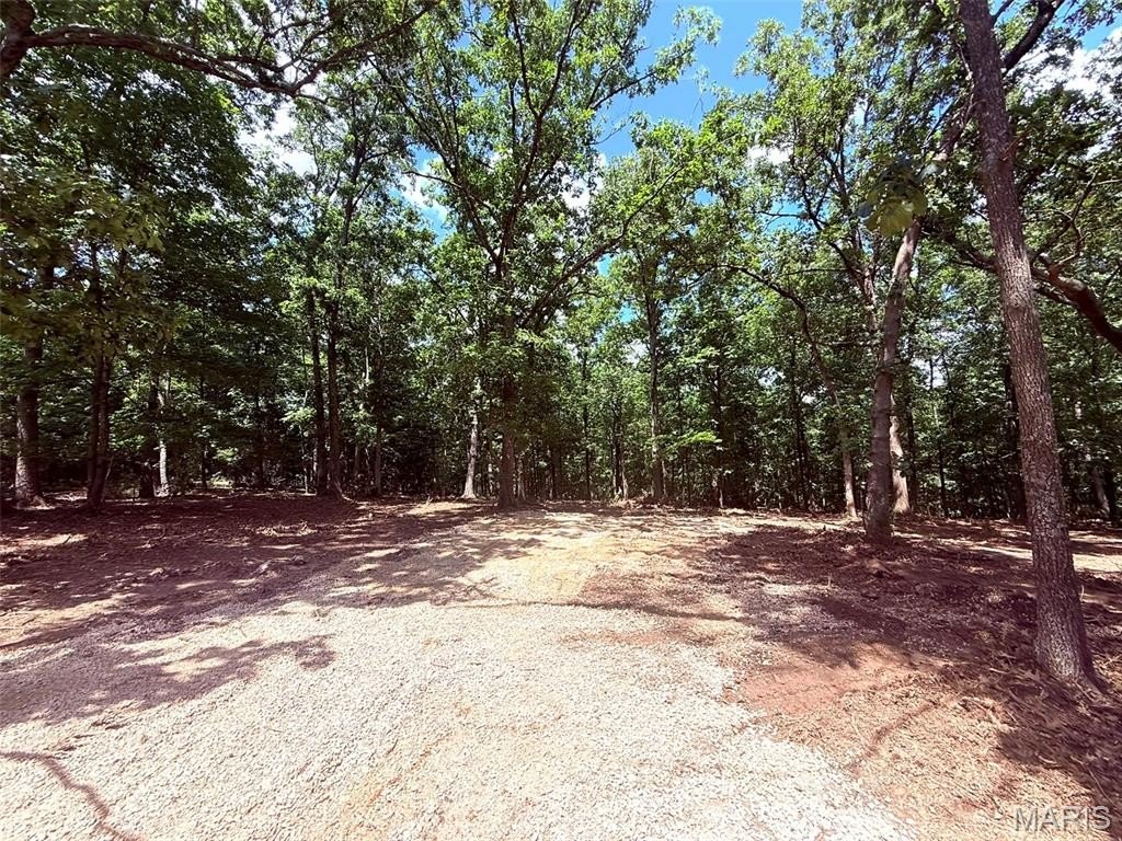 Picture 8