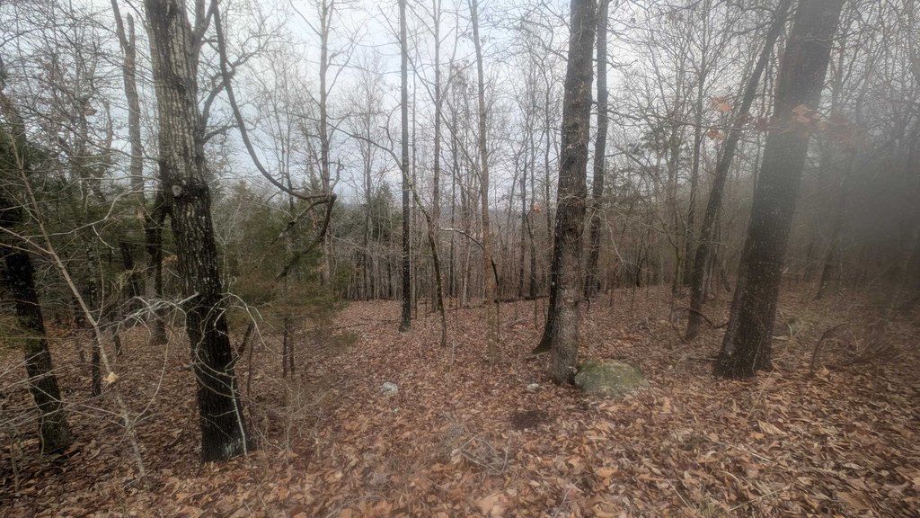 Picture 14