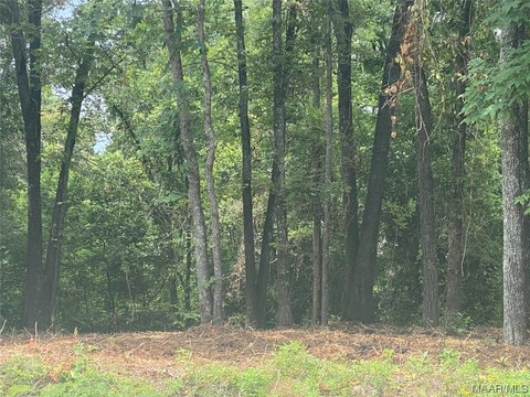 Residential Land in Millbrook, AL