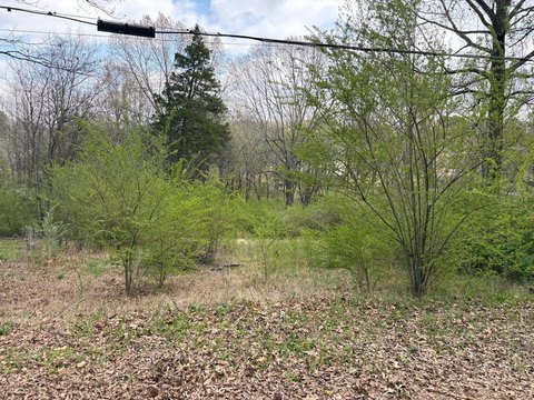 Pocahontas, AR Vacant Land