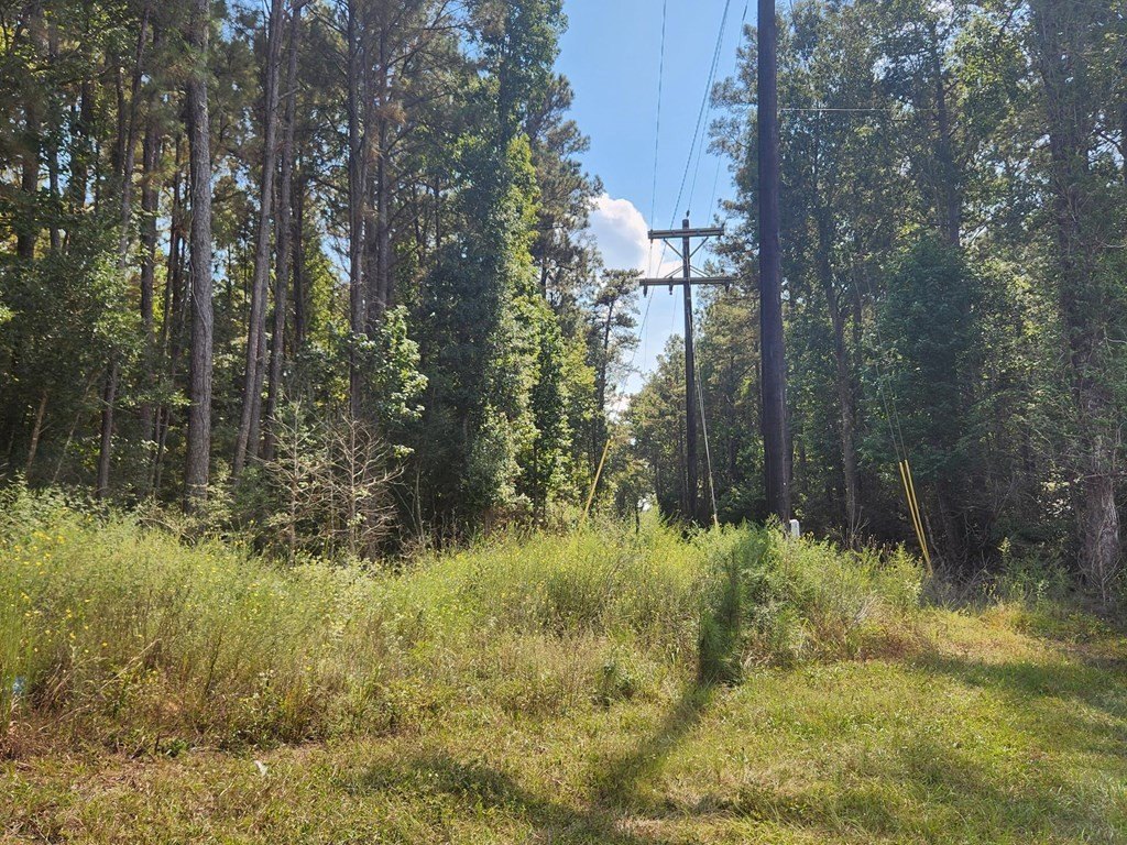 Picture 3