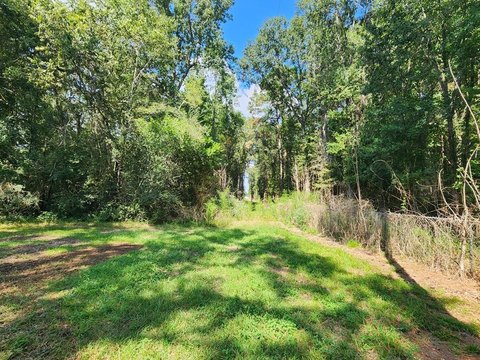 Jasper, TX Wooded Acreage Land