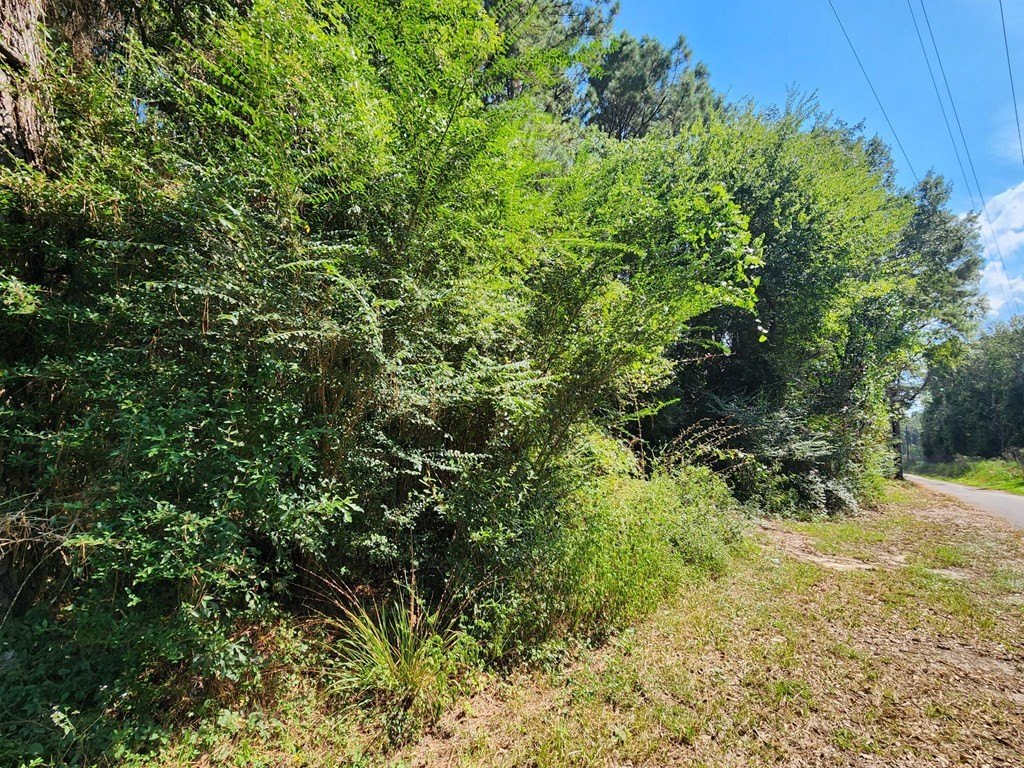 Picture 5