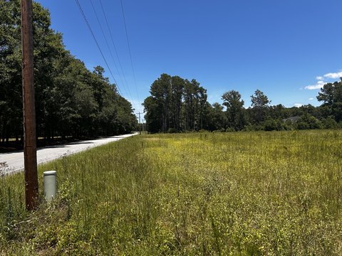 LAND - Walterboro, SC