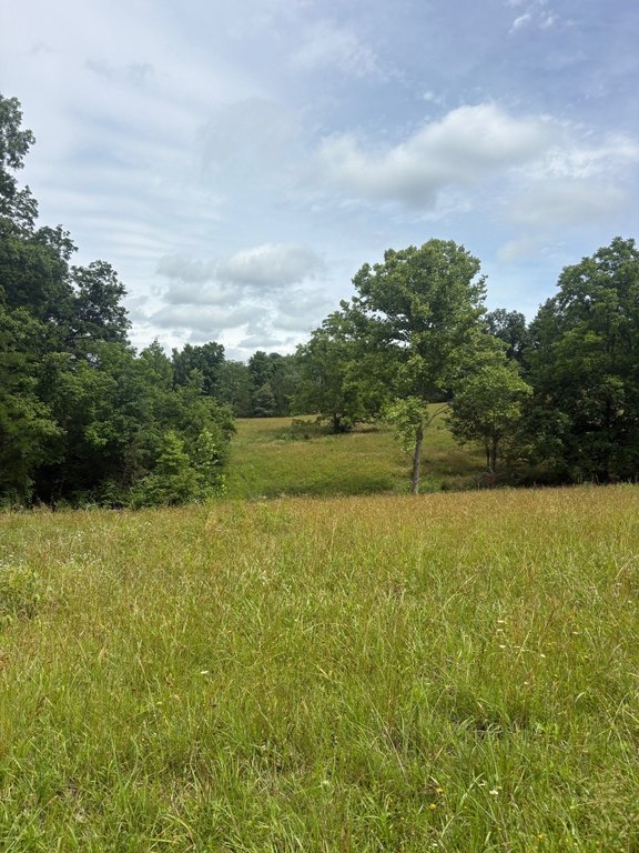 Picture 21