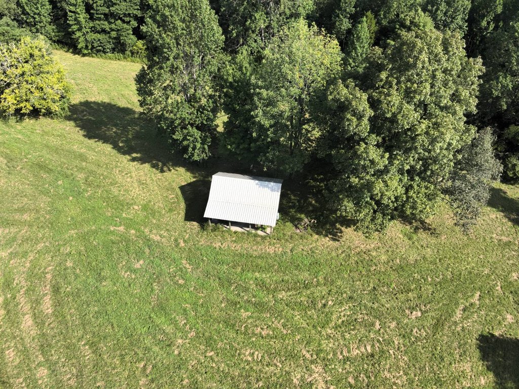 Picture 46