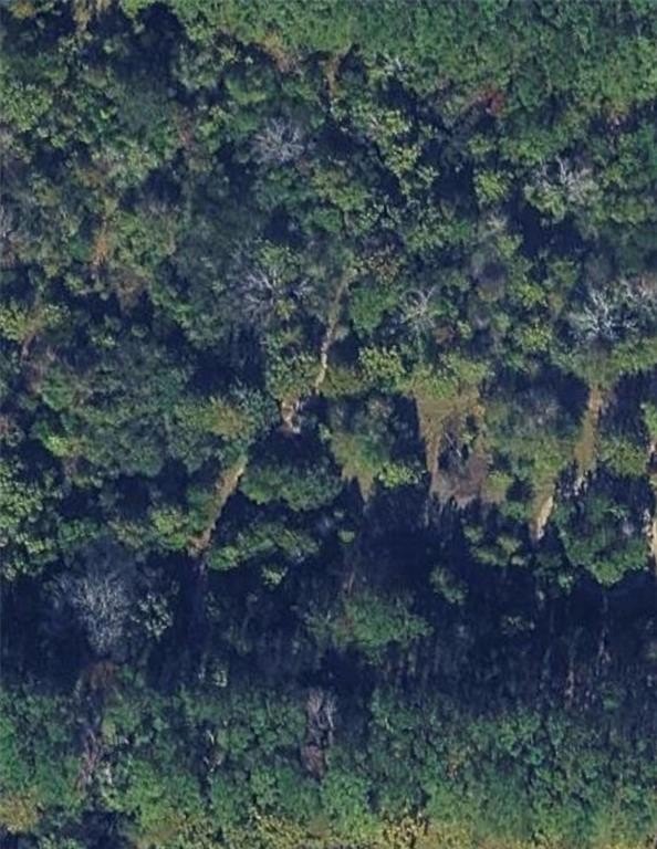 Wooded Land Parcel in Cochran