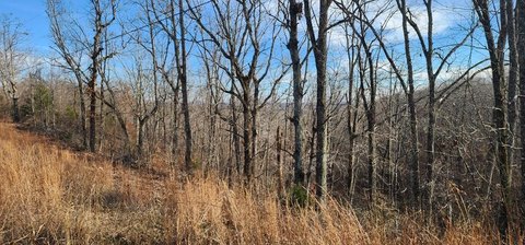 Unrestricted Land Near Boating Access