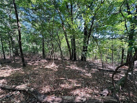 Land, Bella Vista, AR