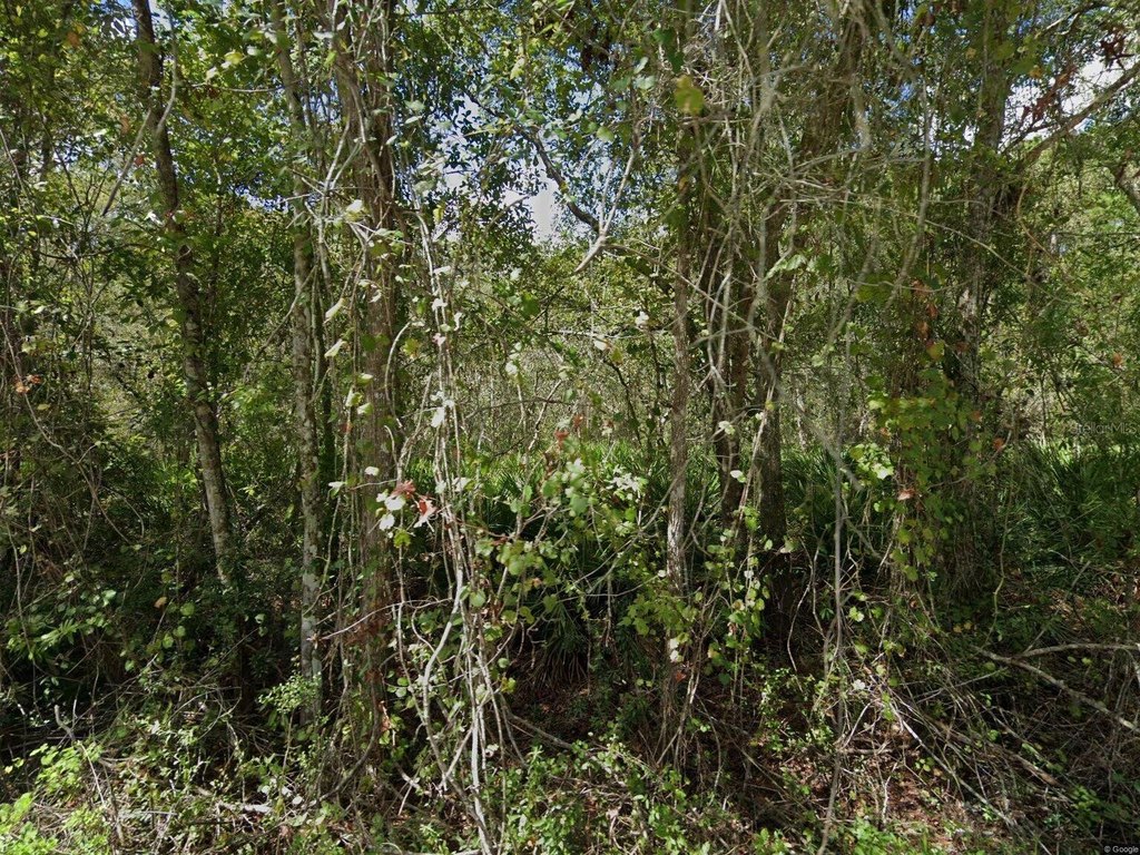 Picture 5