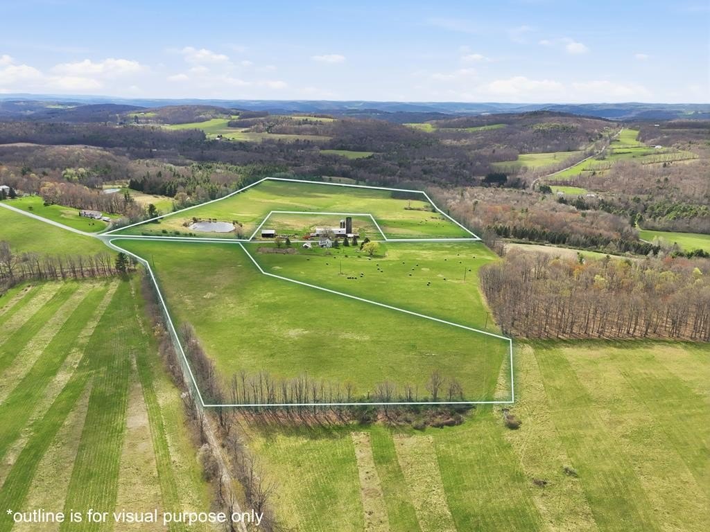 65 Acres Vacant Land, Sayre