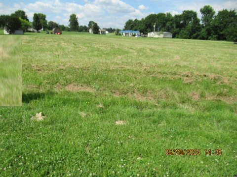 Residential Land in Troy, TN