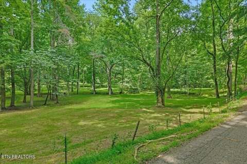 Cleared Acreage with Creek Frontage