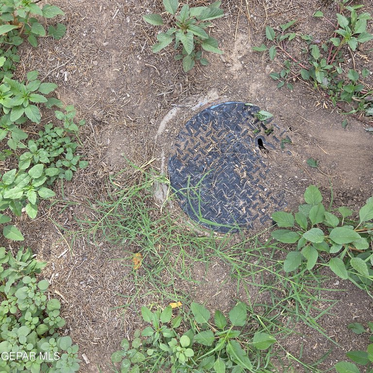 Picture 11