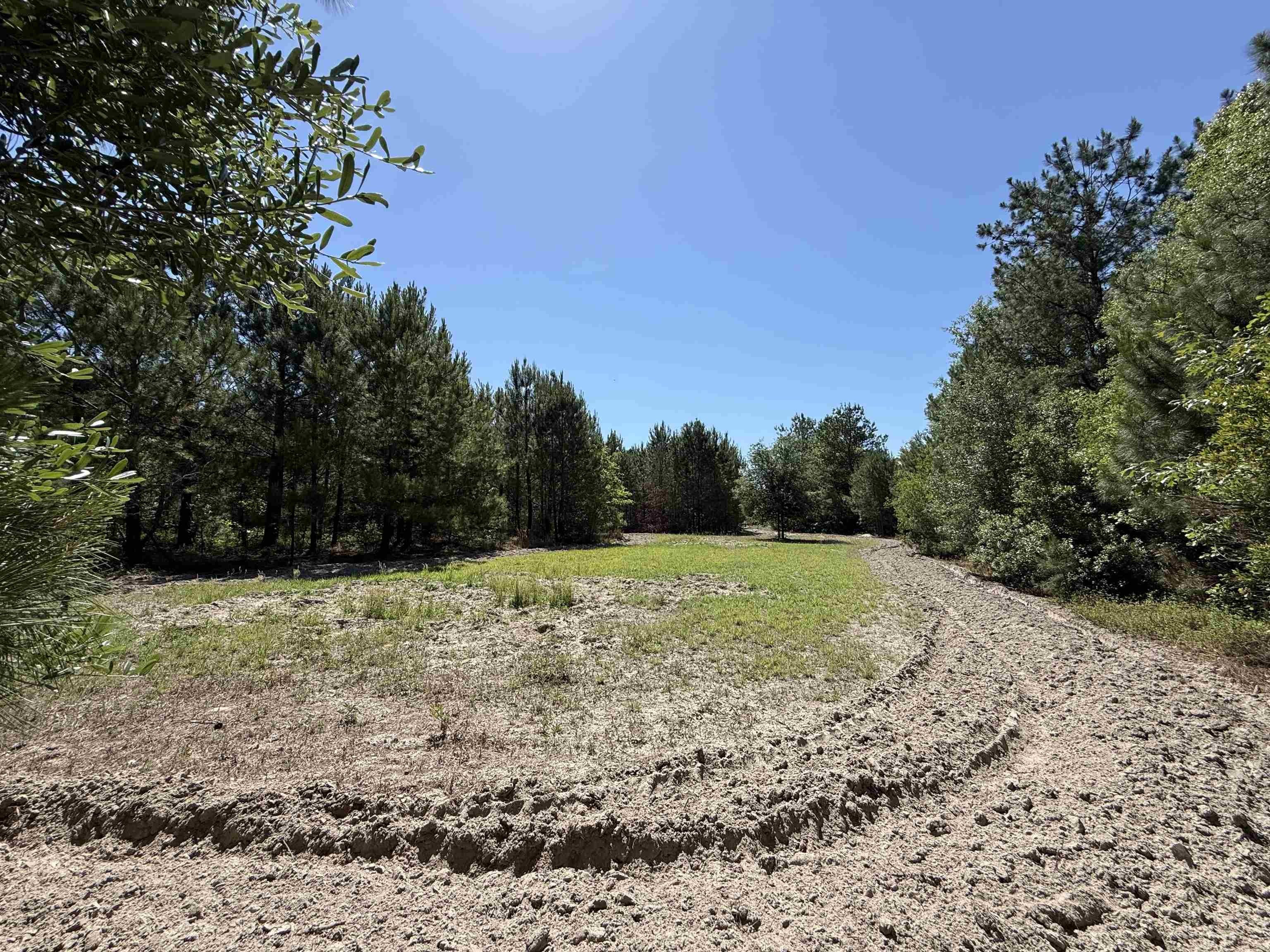 Manning SC 43-Acre Land