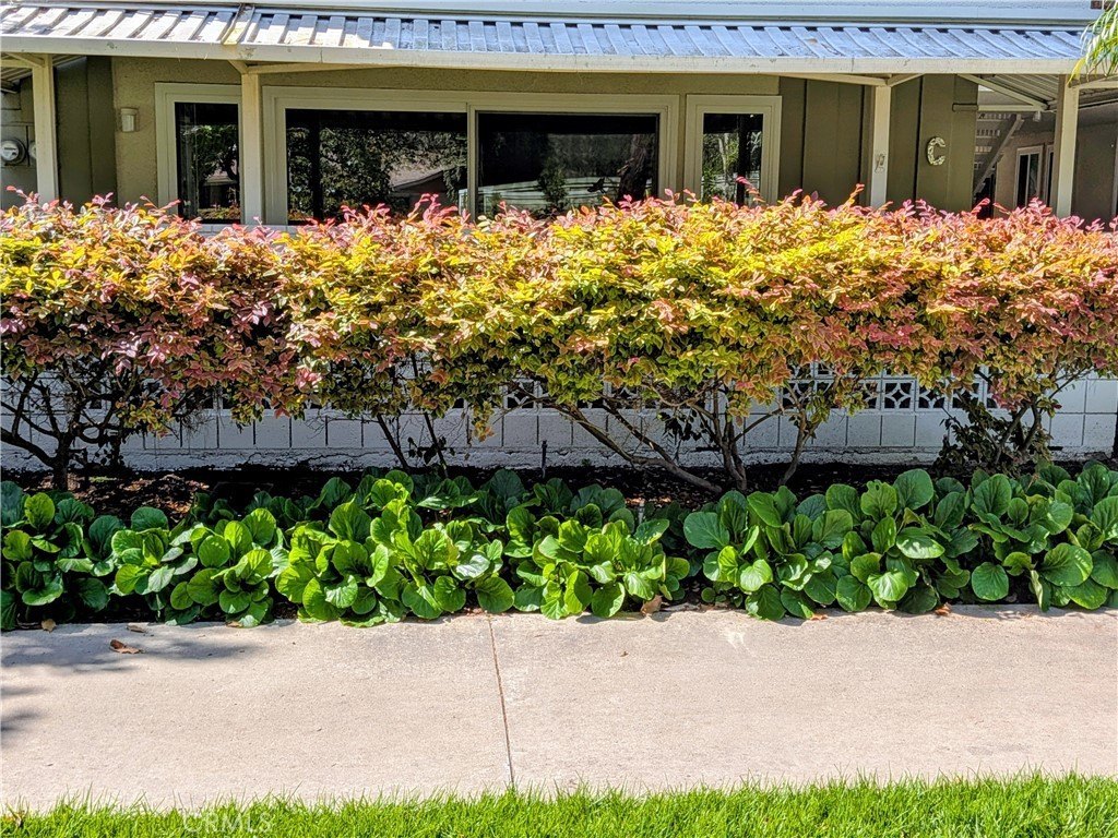 Picture 25
