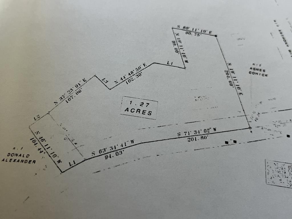 Picture 17